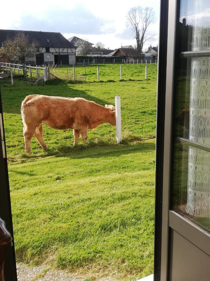 L'Opaline, Jolie Maison Avec Jardin 6 Pers,10Km Honfleur, Linge Et Internet Inclus Beuzeville Dış mekan fotoğraf