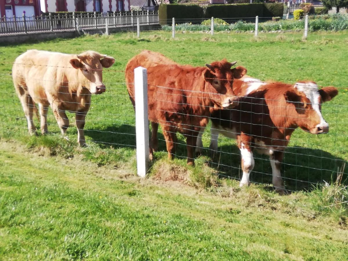 L'Opaline, Jolie Maison Avec Jardin 6 Pers,10Km Honfleur, Linge Et Internet Inclus Beuzeville Dış mekan fotoğraf